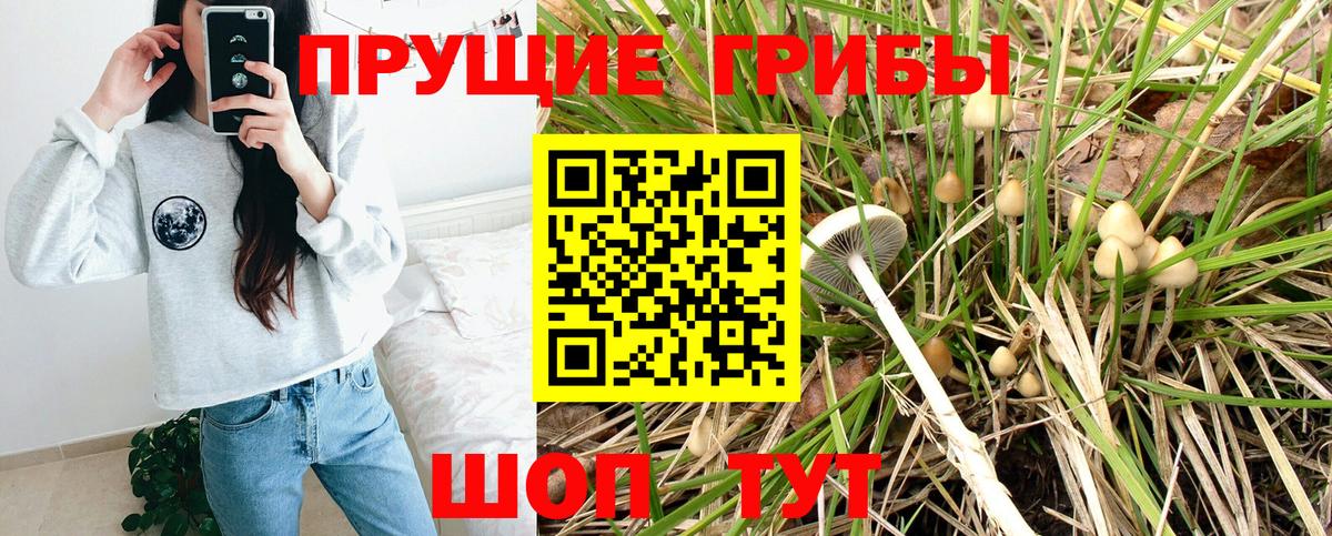 Псилоцибиновые грибы MAGIC MUSHROOMS Михайловка