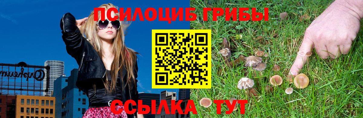 Псилоцибиновые грибы прущие грибы  Галлюциногенные грибы Cubensis  Михайловка  Вход с VPN 