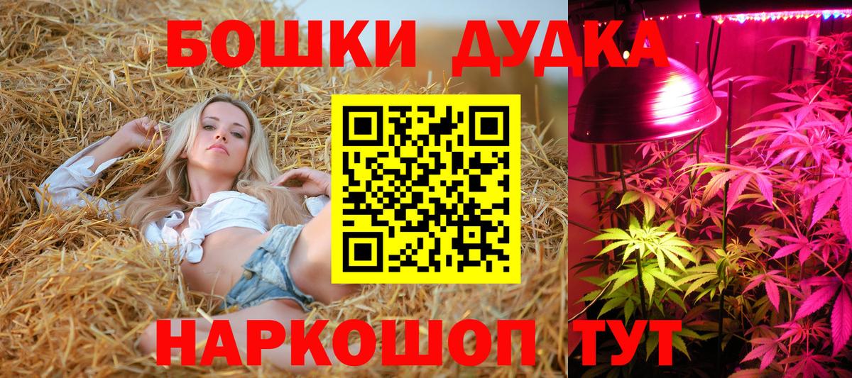 Конопля гибрид Михайловка